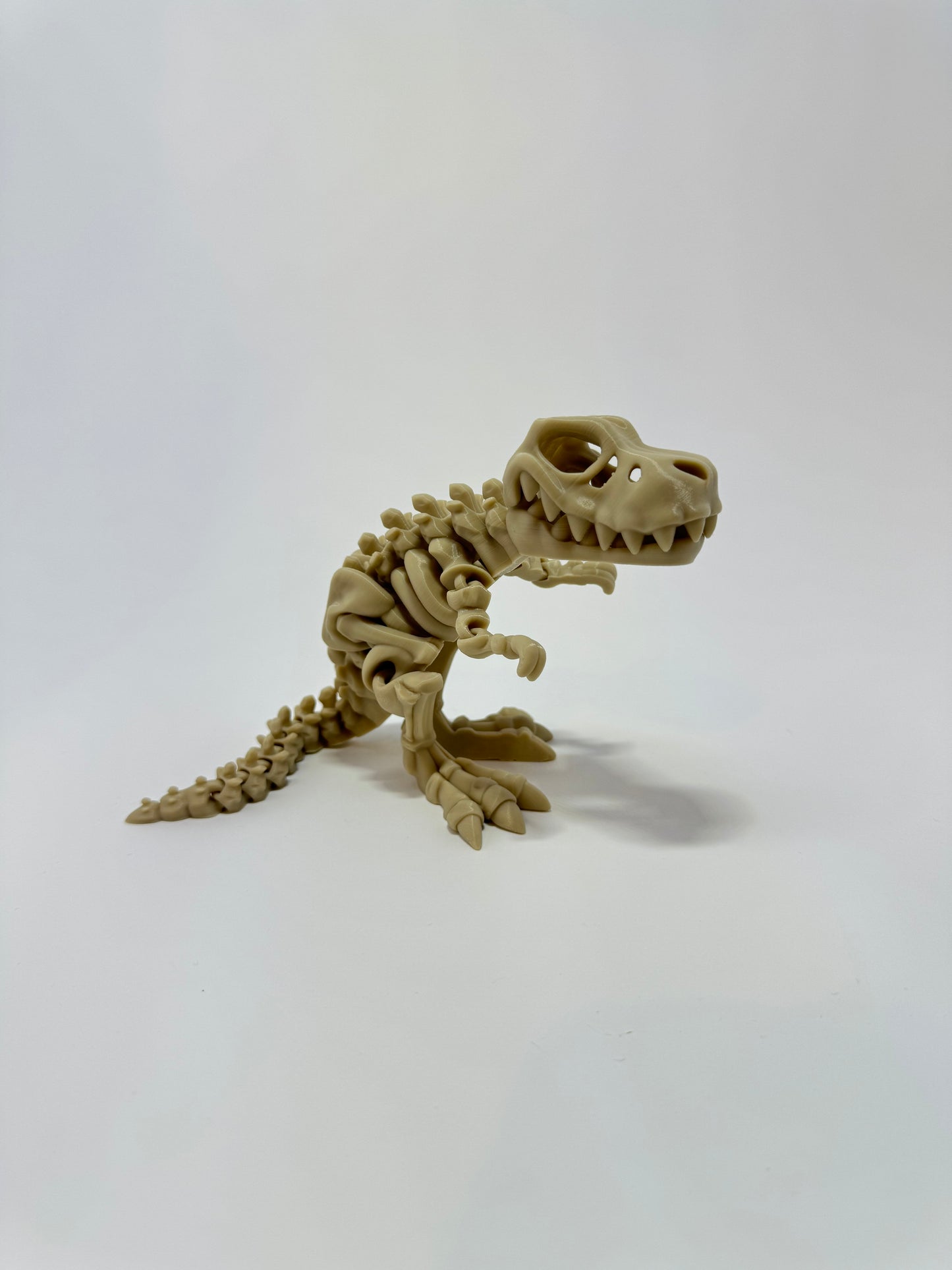 Skeleton T Rex Flexi