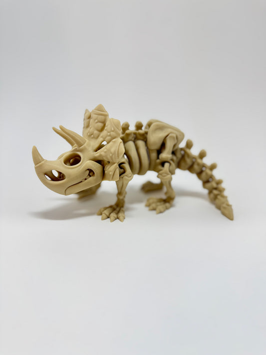 Skeleton Triceratops Flexi