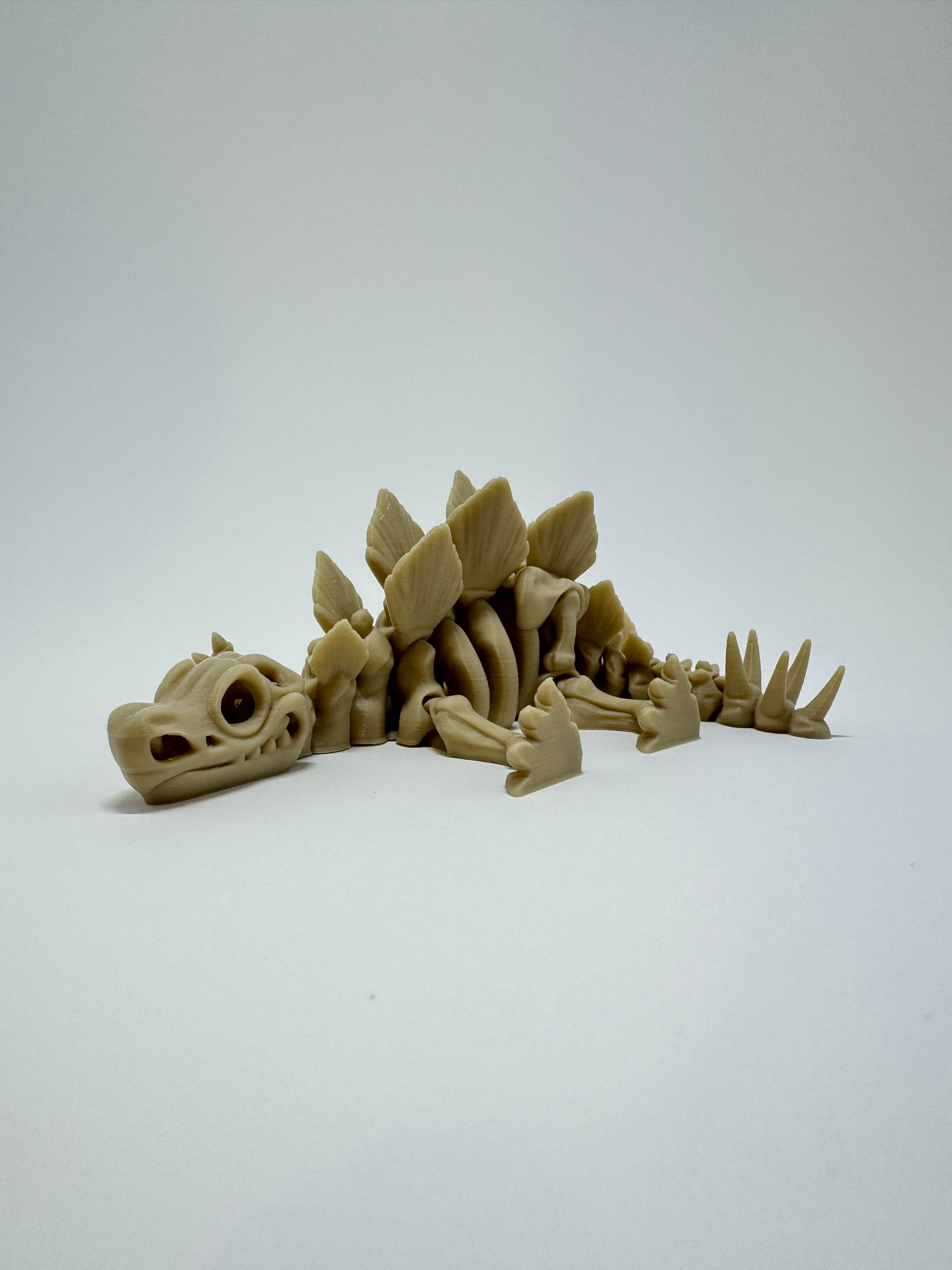 Skeleton Stegosaurus Flexi